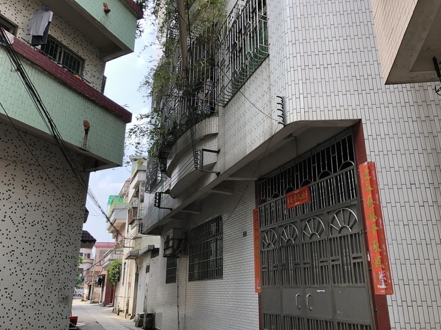 【第一次拍卖】广东省佛山市南海区平洲平南梅园村新屋（宅基地）建筑面积288㎡
