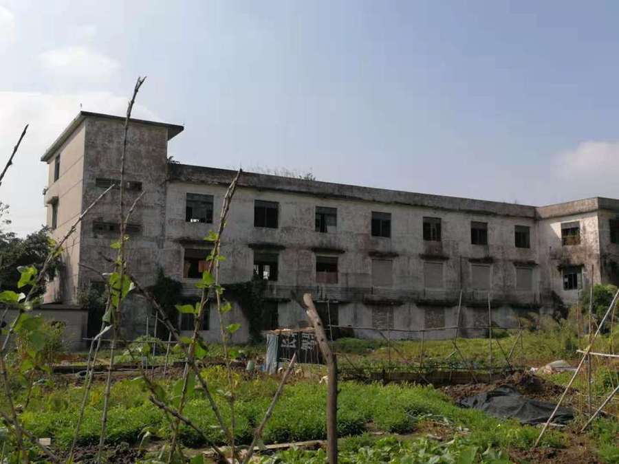 顺德区容桂海尾社区105国道西侧之五、之七、之九的土地使用权及地上建筑物