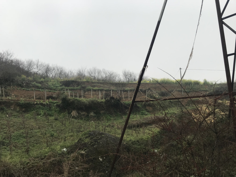 【第一次拍卖】贵州省黔西县城关镇花都大道北侧（兴黔大道旁）土地编号2012QX25的土地使用权