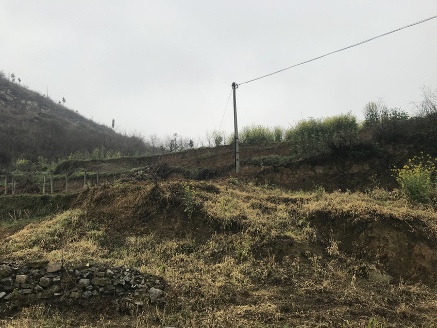 【第一次拍卖】贵州省黔西县城关镇花都大道北侧（兴黔大道旁）土地编号2012QX24的土地使用权