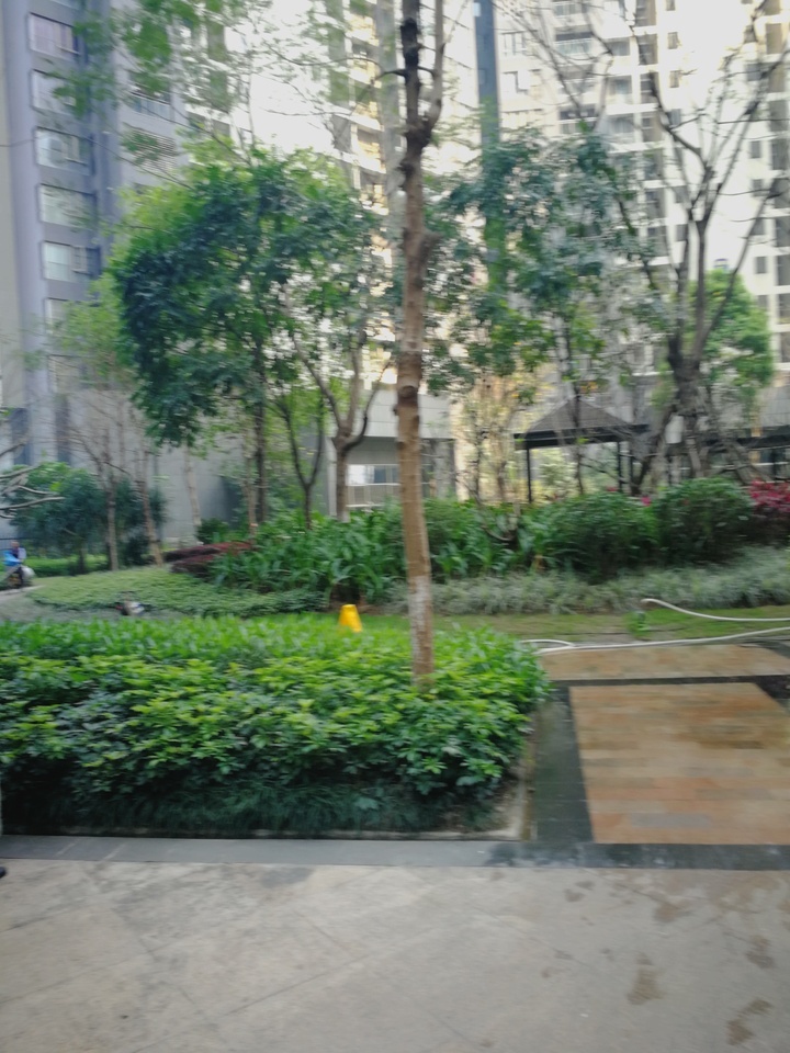 【第一次拍卖】佛山市南海区桂城半岛路11号金域蓝湾灏景湾2座2901房 建筑面积156.96㎡