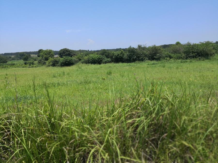 【第一次拍卖】湖北省应城市城北街道办事处、杨岭镇团山村地段土地一宗（一）